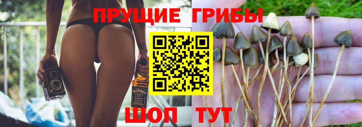 Псилоцибиновые грибы Magic Shrooms  Вход с VPN  Рязань 